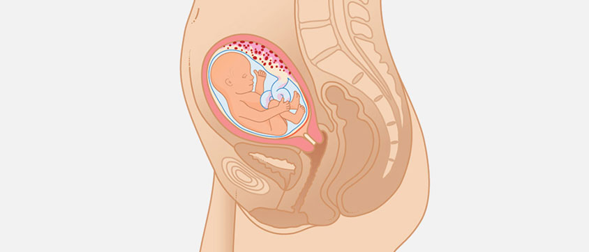 Week 18: Baby Starts Kicking