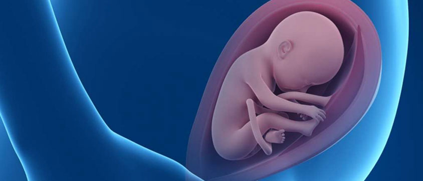 Week 38: Baby Starts Breathing