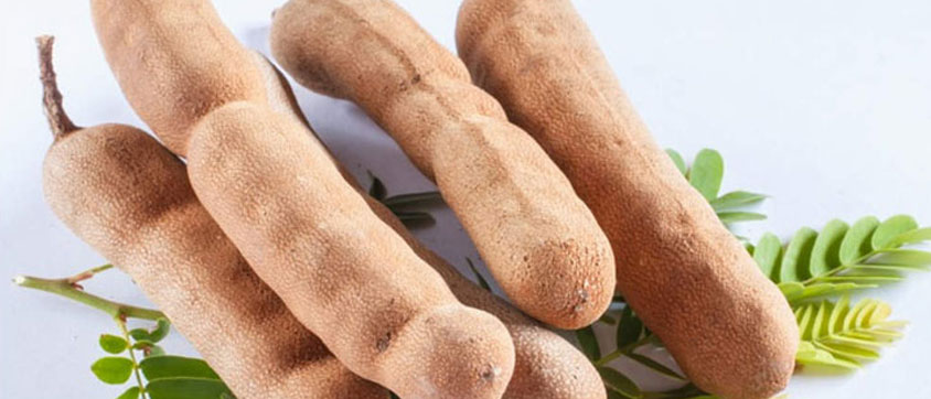 Is it Safe to Eat Tamarind during Pregnancy?