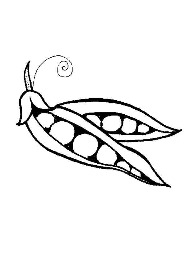 39 Peas Coloring Page PNG