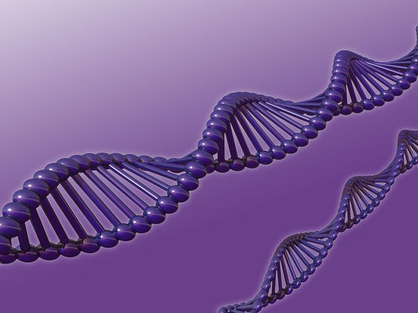 Cystic-Fibrosis Carrier Screening (CF)