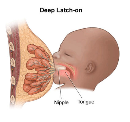 Methods for Expressing Breast Milk