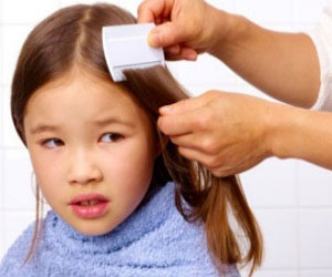 Lice - Home Remedies