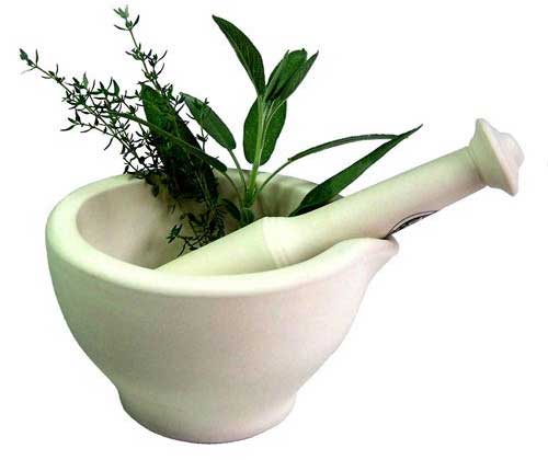 Herbal medicines for common health problems