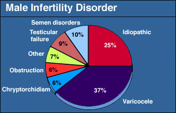 Signs and Causes of Infertility in Men
