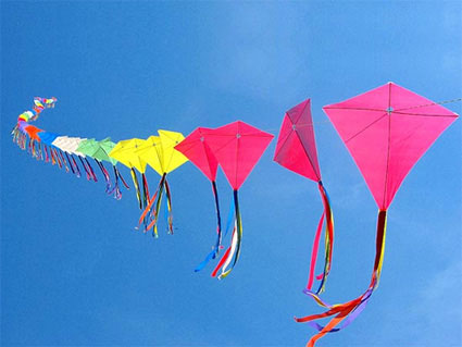 Makar Sankranti