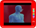 Asthma in the Human Body