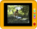 Reducing Stress with Yoga