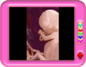 Prayer Song for the Unborn Child
