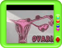 What is ectopic pregnancy