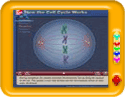How cell cycle works