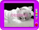 Avoid Abortion