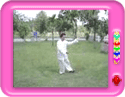 13 posture Tai Chi Chuan