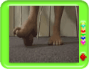 Foot Exercise