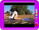 Yoga Asana  Plough posture