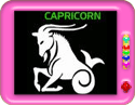 Sun sign  Capricorn