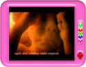 Week by Week Pregnancy