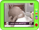 Before Pregnancy Care