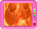 Womb Fight