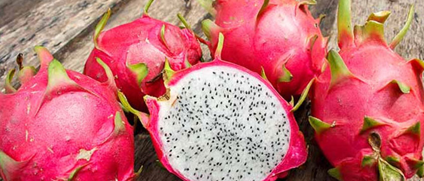Is it Safe to Eat Dragon fruit During Pregnancy?