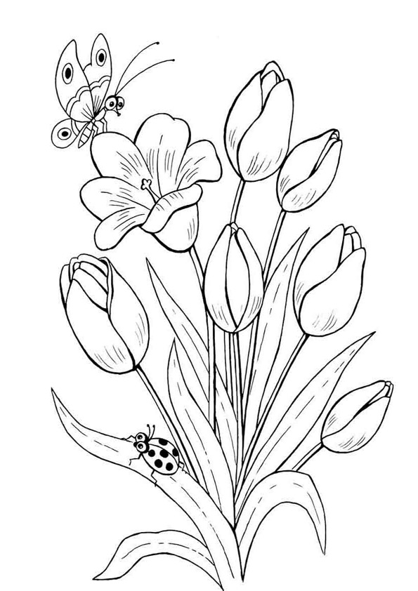 Download Coloring Pages | Tulip Flower Printable Coloring pages
