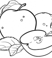 Coloring Pages | Corn Coloring Page for Kids