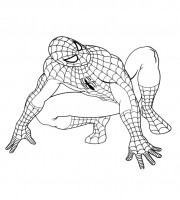 Coloring Pages | Top Spiderman Coloring Pages For Kids