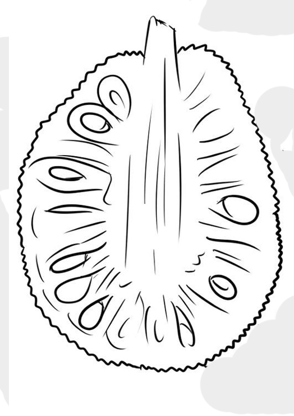 coloring-pages-jackfruit-coloring-sheet-for-kids