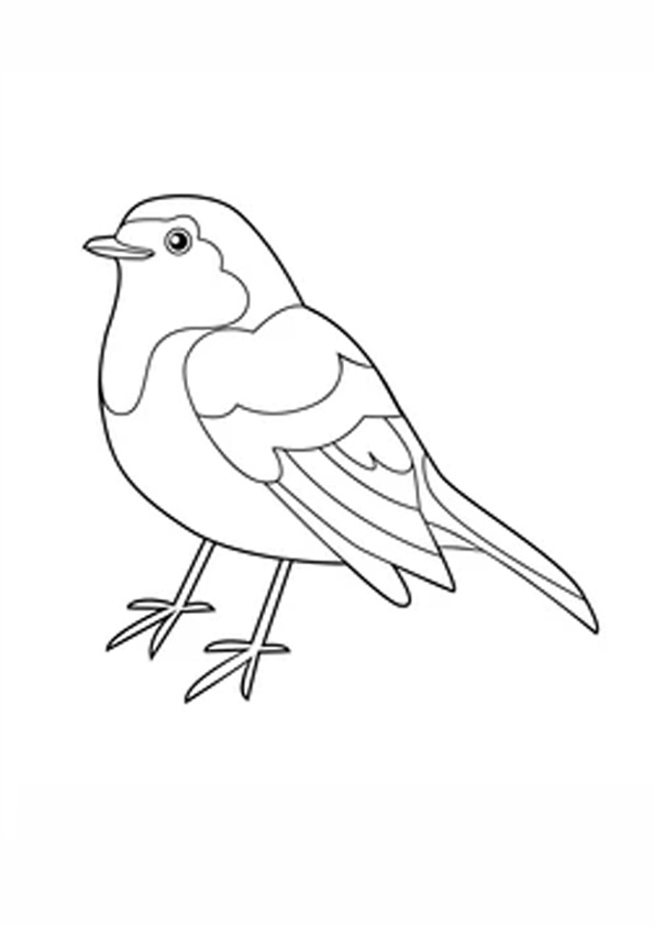 coloring-pages-robin-bird-coloring-pages-for-kids