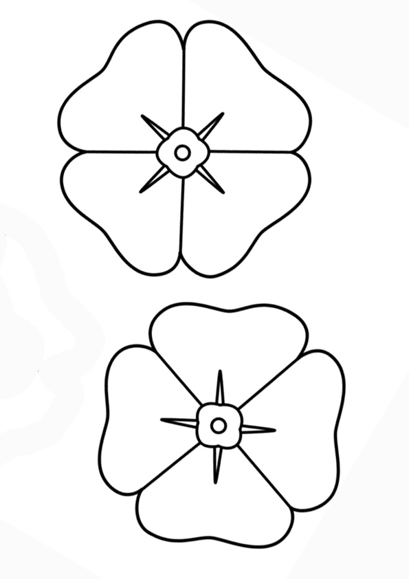Coloring Pages | Printable Poppy Flower Coloring Pages