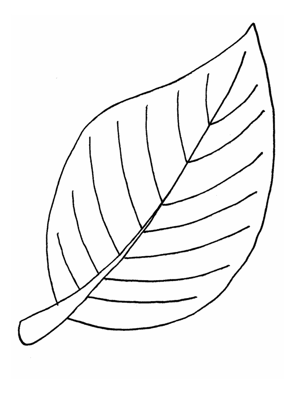 Coloring Pages | Leaf Coloring Pages A4 Size for Kids