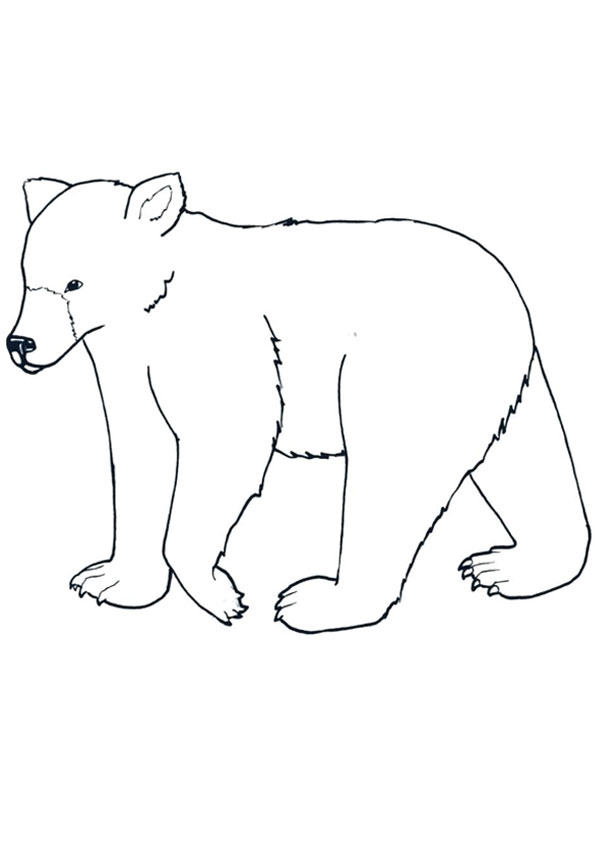 Baby Bear coloring pages coloring page