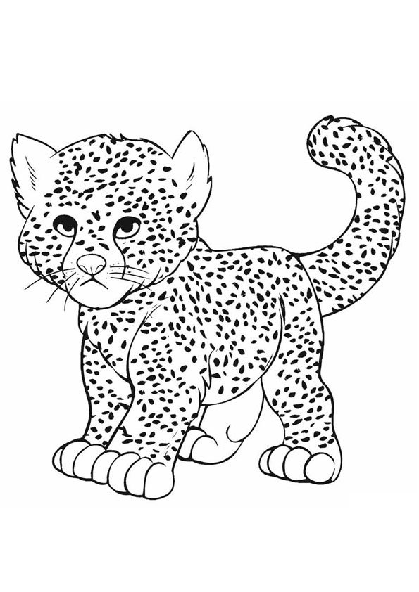 Coloring Pages | Baby Cheetah playing coloring pages