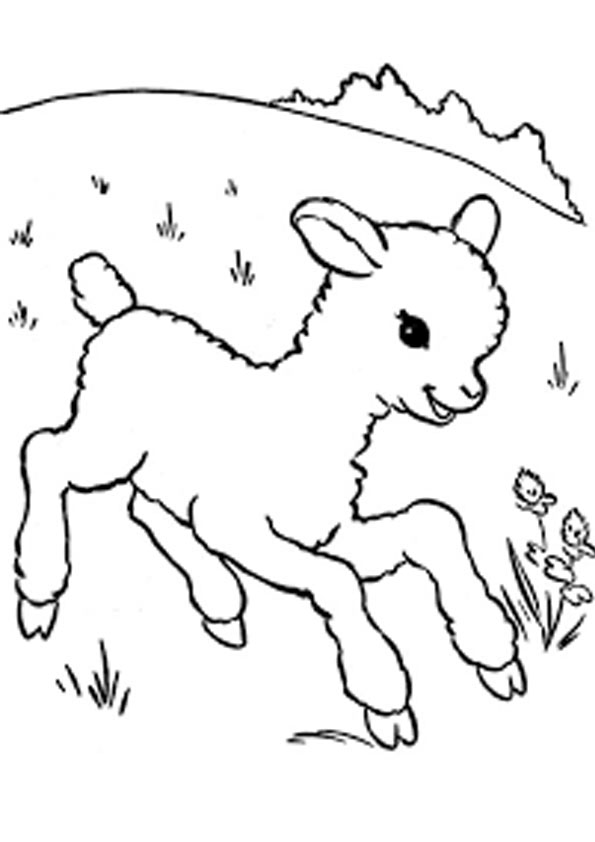 Coloring Pages | Baby Goat playing Coloring Pages