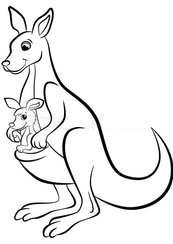 free-printable-kangaroo-coloring-pages-for-kids-animal-place