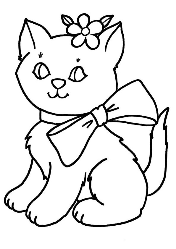 48  Colouring Page Of Cat  HD