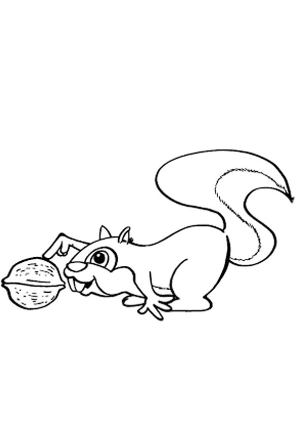 Squirrel Eating Fruit Coloring Page coloring page