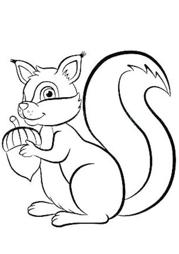 Download Coloring Pages | Squirrel Drinking Juice Coloring Page