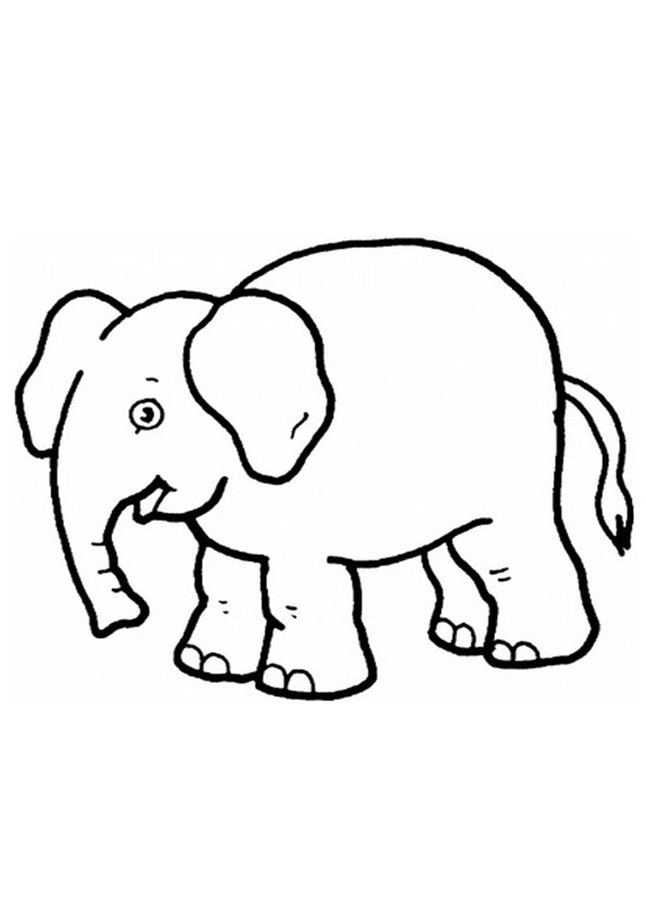 coloring pages  baby elephant coloring pages