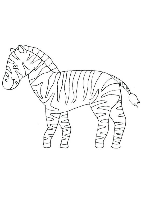Baby Zebra Coloring Page for Kids coloring page