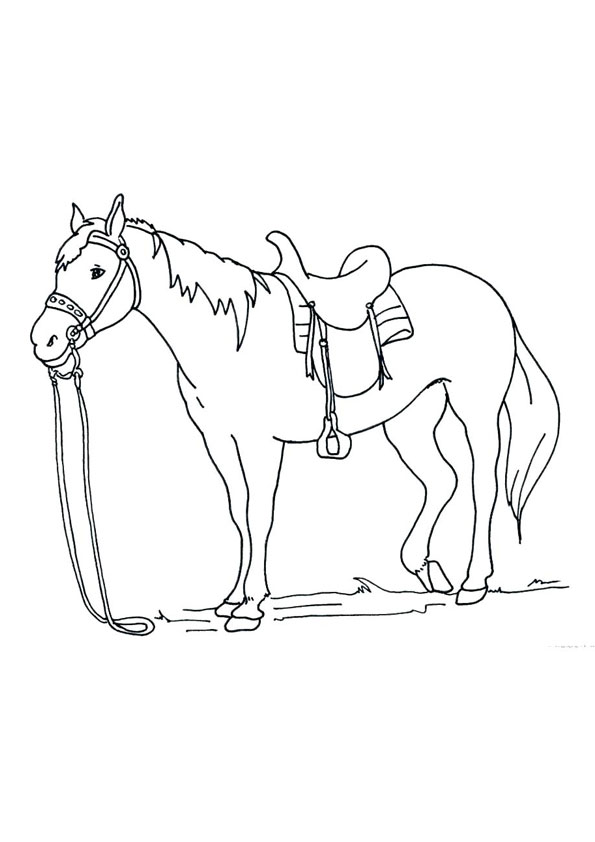 Download Coloring Pages Horse Coloring Page For Kids