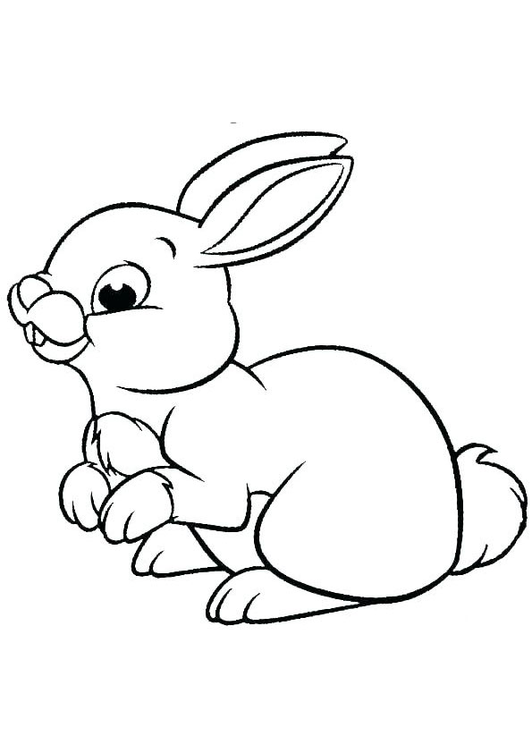 Cute baby Rabbit Coloring-page coloring page