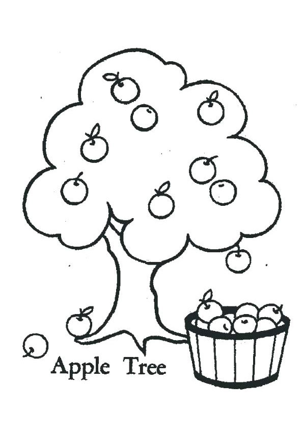 Download Coloring Pages Apple Tree Coloring Page For Kids