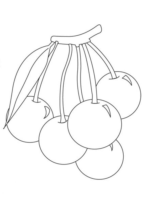 Bunch of Cherries Coloring page for Kids coloring page