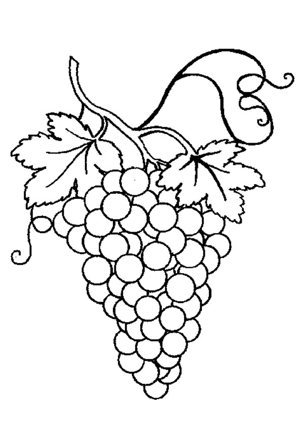 Coloring Pages | Bunch of Grapes with Leaf Coloring Page