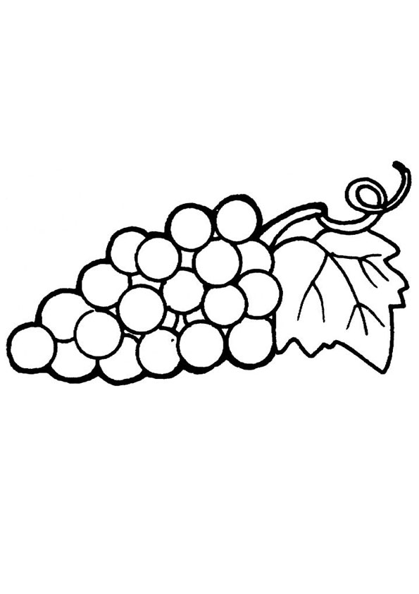 Featured image of post Grapes Coloring Pages Printable Select from 35554 printable coloring pages of cartoons animals nature bible and many more