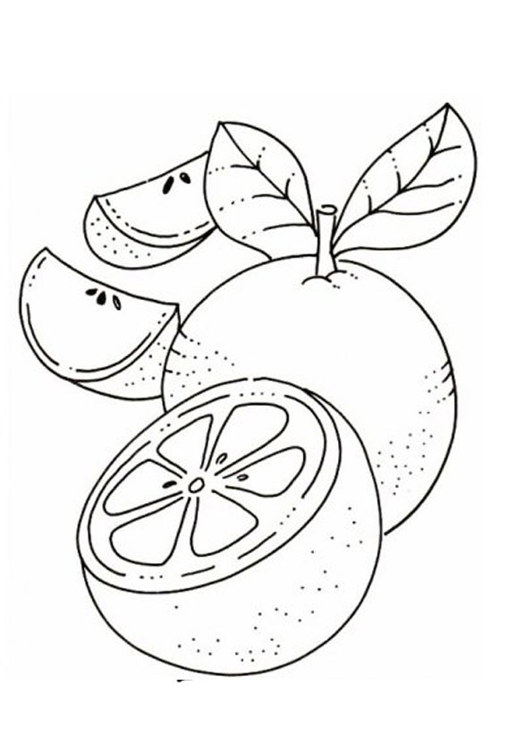 Coloring Pages Orange Coloring Page For Kids