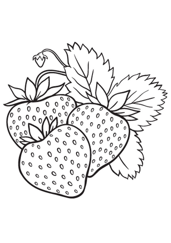 Coloring Pages | Strawberry Plant Coloring Page