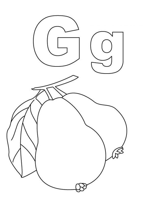 Coloring Pages | G is for Guava Coloring page for Kids.