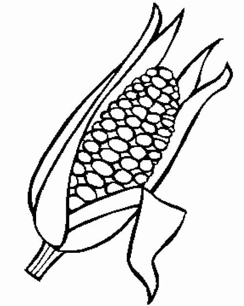 Colindiancorn Coloring Pages coloring page